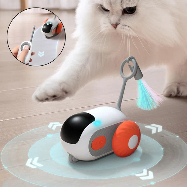 Remote-Control Cat Car Toy