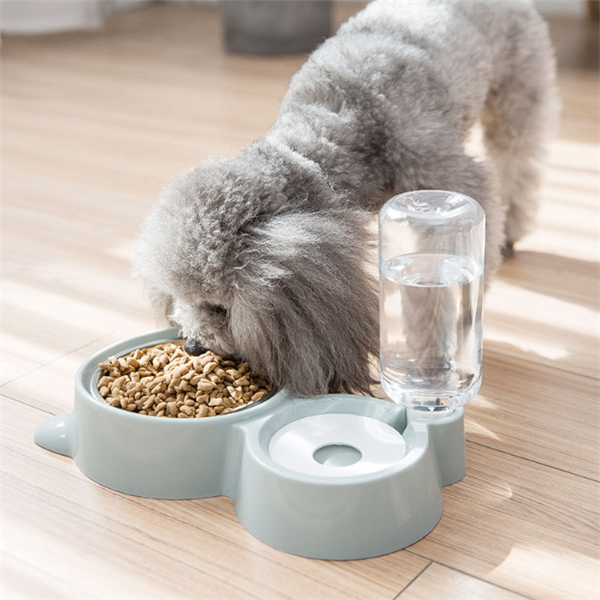 Automatic Water Refill & Pet Bowl